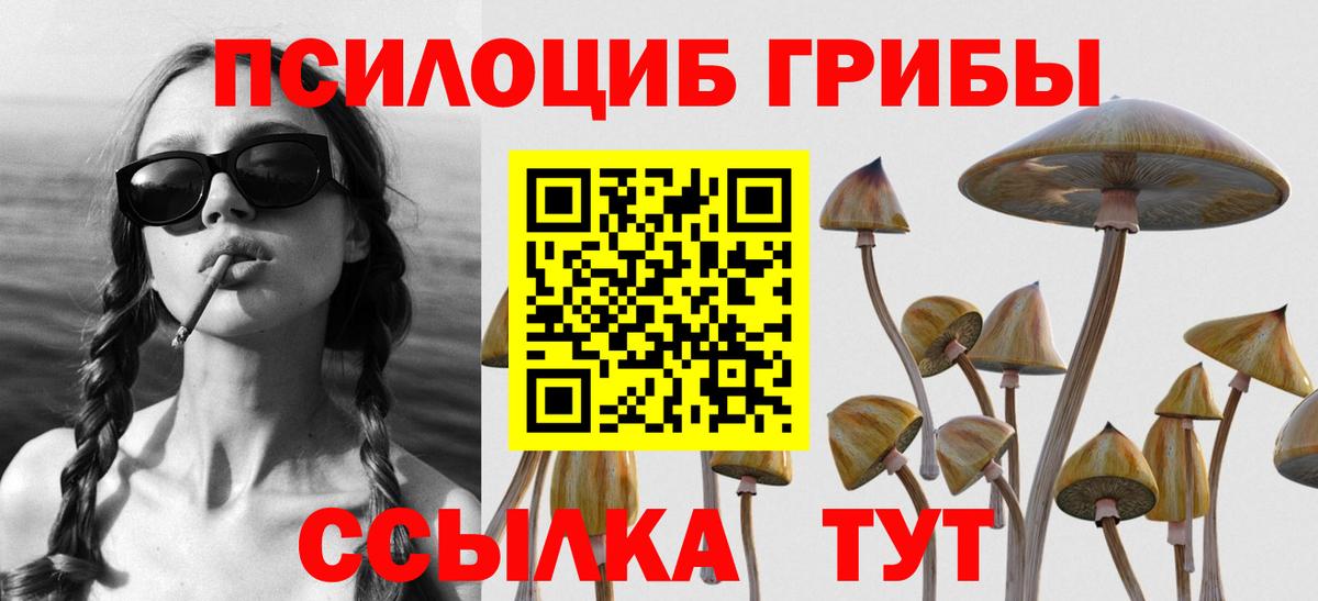 Галлюциногенные грибы GOLDEN TEACHER  Вход с VPN  Сосновый Бор 
